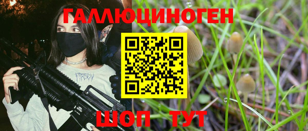 наркотики  Псилоцибиновые грибы Cubensis  Вход с VPN  Новодвинск 